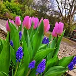 아파트 At Ballinsheen House & Gardens