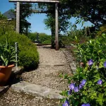 At Ballinsheen House & Gardens