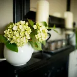 At Ballinsheen House & Gardens 아파트 리스둔바르나