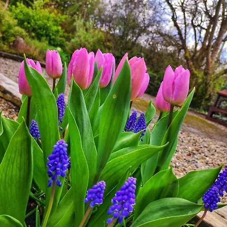 アパート At Ballinsheen House & Gardens