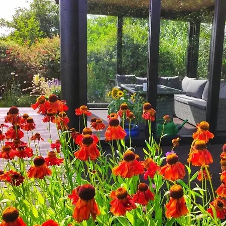Apartment At Ballinsheen House & Gardens *