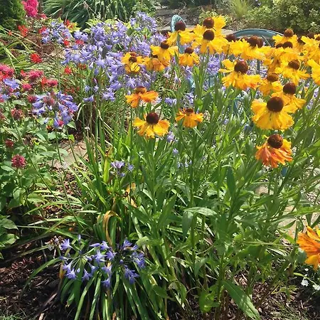 At Ballinsheen House & Gardens Apartment