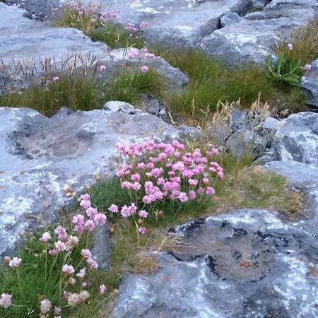 アパート At Ballinsheen House & Gardens リスドゥーンバーナ