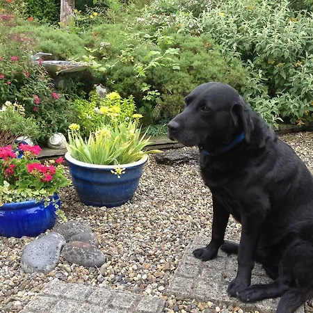 At Ballinsheen House & Gardens Lisdoonvarna