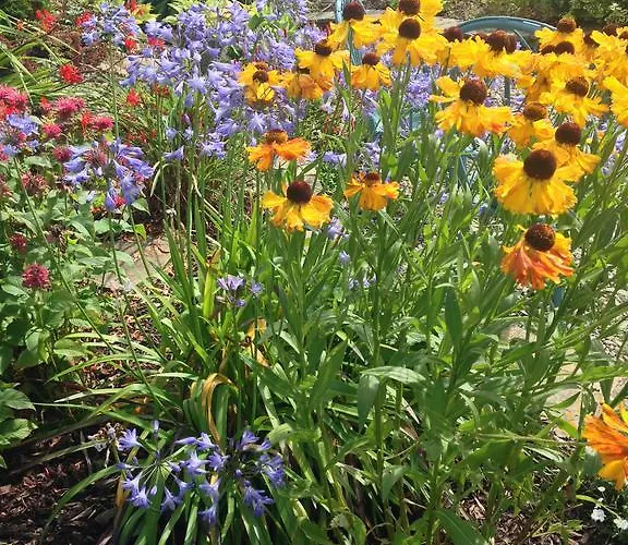 At Ballinsheen House & Gardens Daire
